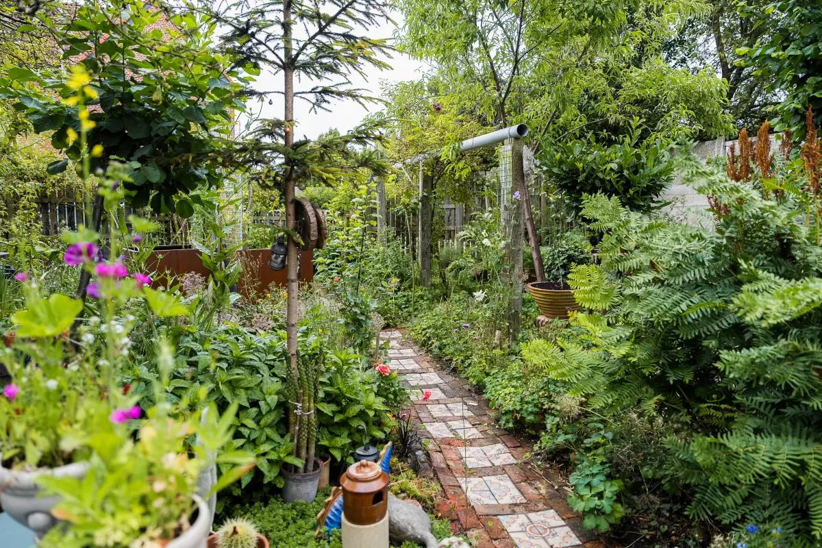 Stadstuin met paadje