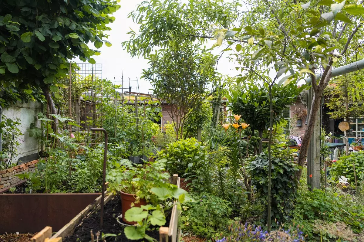 Stadstuin met planten en kleine bomen