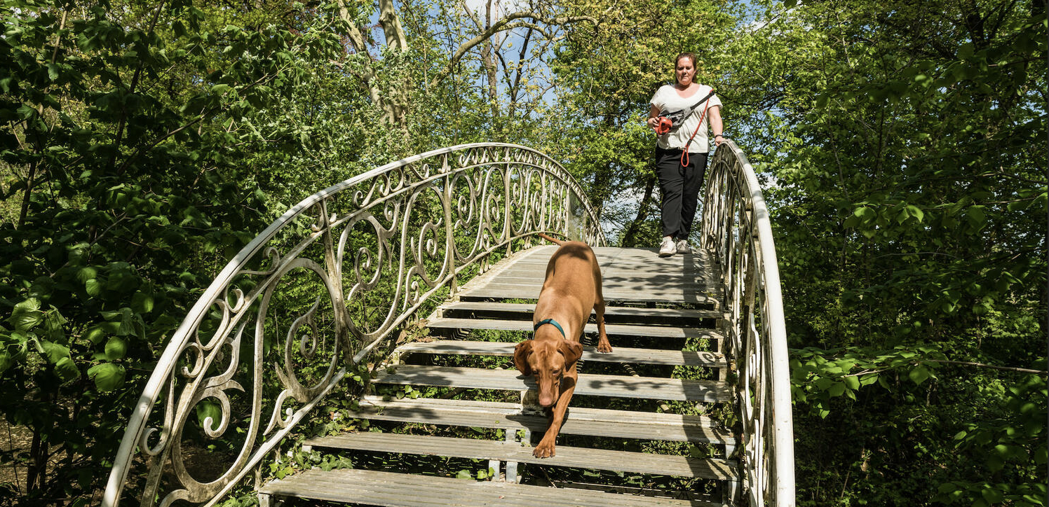 Wandelen in Drongen