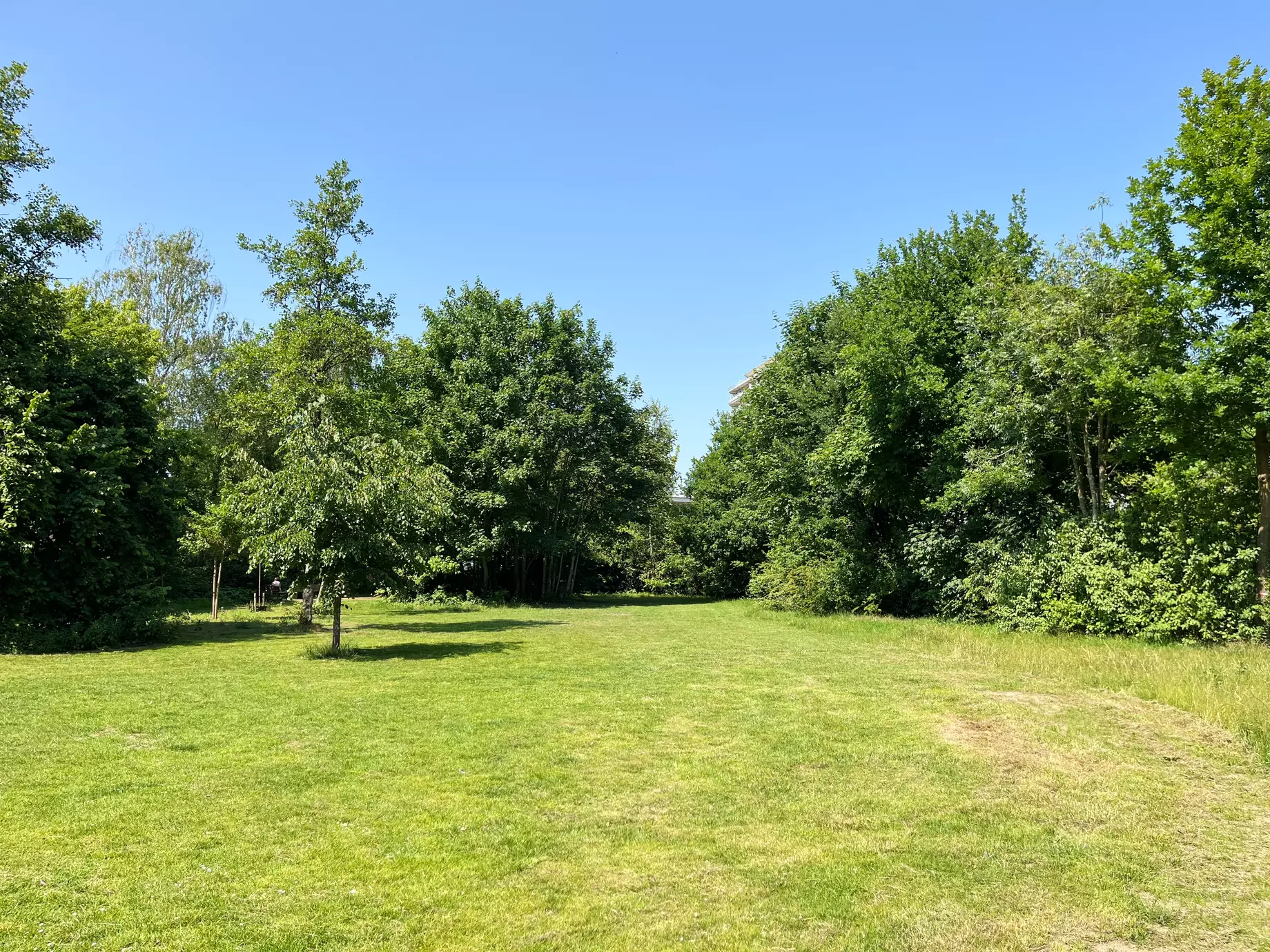 Duifhuispark